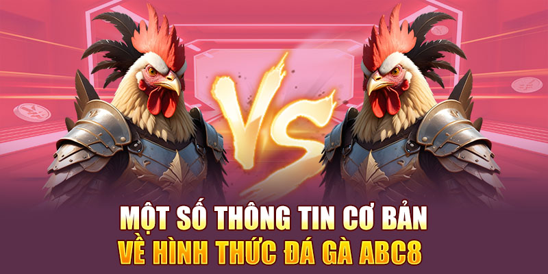 Sảnh đá gà ABC8 mang cho người chơi nhiều thông tin