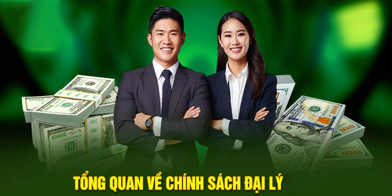 Tổng quan về chính sách đại lý ABC8