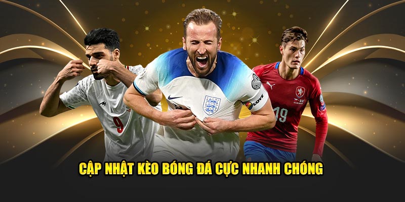 Cập nhật kèo bóng đá cực nhanh chóng