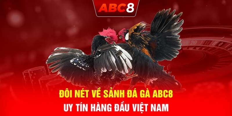 Sảnh đá gà ABC8 đem đến cảm xúc thăng hoa cho sư kê